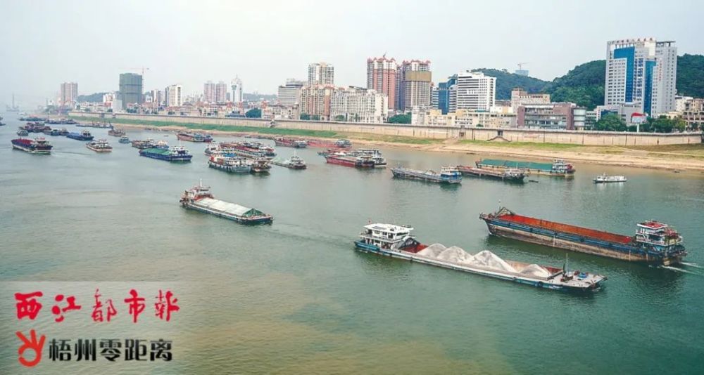 水清了、岸绿了、景美了!梧州市水污染防治工作连续四年年度考核优秀